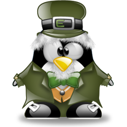 Tipico Leprecauno irlandese Tipico Leprecauno irlandese